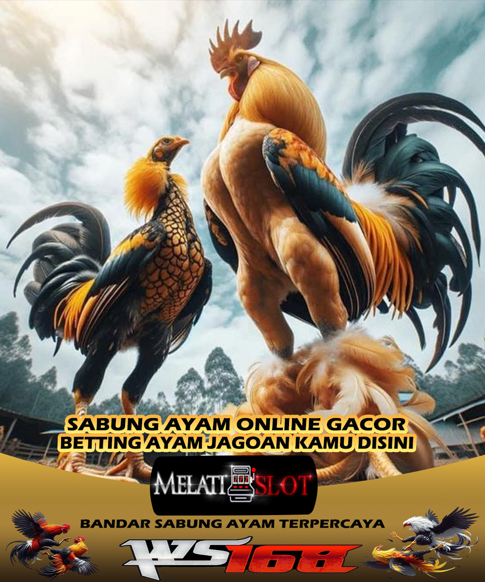 Link Sabung Ayam Gacor Melatislot